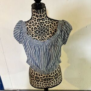 American Eagle Outfitters Blue Crop Top